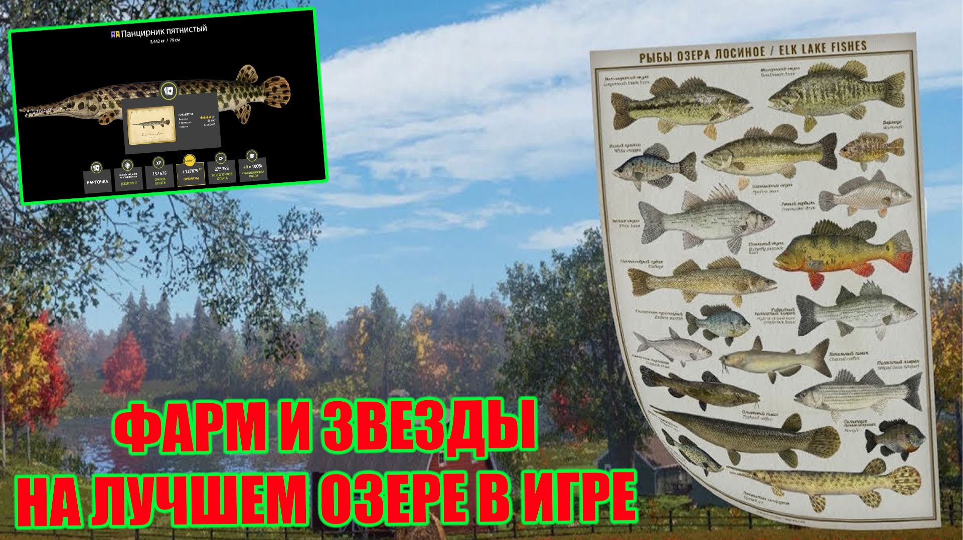 САМЫЙ НЕДООЦЕНЕННЫЙ ВОДОЕМ, КУЧА ТРОФОВ, РЕДКИХ ЗВЕЗД И ФАРМА В РУССКОЙ РЫБАЛКЕ 4 РР4