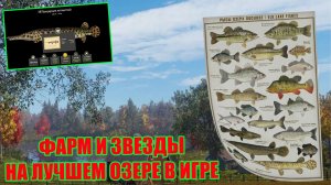 САМЫЙ НЕДООЦЕНЕННЫЙ ВОДОЕМ, КУЧА ТРОФОВ, РЕДКИХ ЗВЕЗД И ФАРМА В РУССКОЙ РЫБАЛКЕ 4 РР4