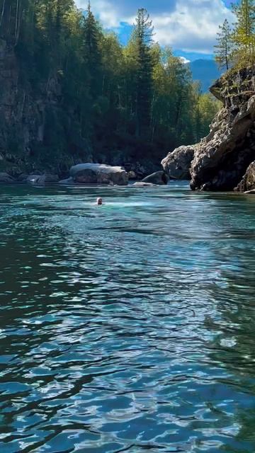 mr.SOLOVEI | из жизни Абхазии