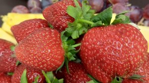 ИННА СУДАКОВА ПОНЯЛА ЗАЧЕМ ОНИ ТУДА ХОДЯТ