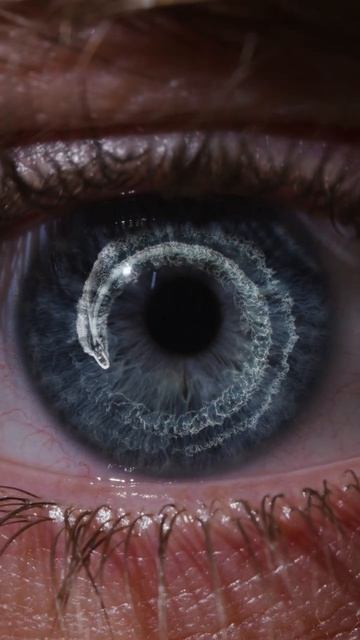 THE UNIVERSE INSIDE US 🌊