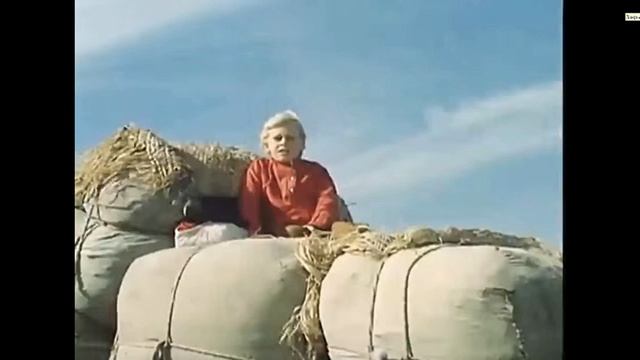 Вот тебе дорога