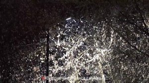 Апрельский снег в Выксе: весна сделала «холодный» сюрприз!