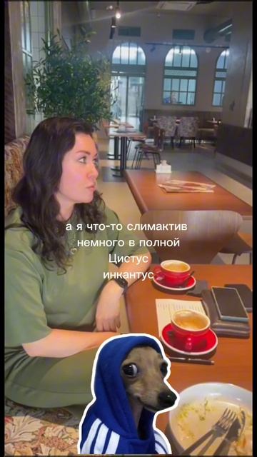 Со стороны кажется, что мы говорим на каком-то своём языке 😄