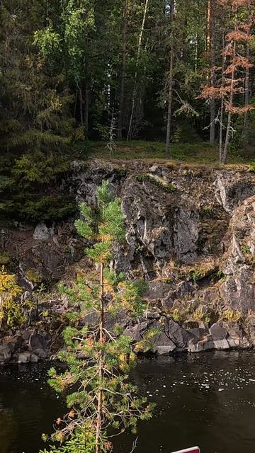 Заповедник и Водопад Кивач, один из крупнейших равнинных водопадов Европы#пазикзоне #adventure