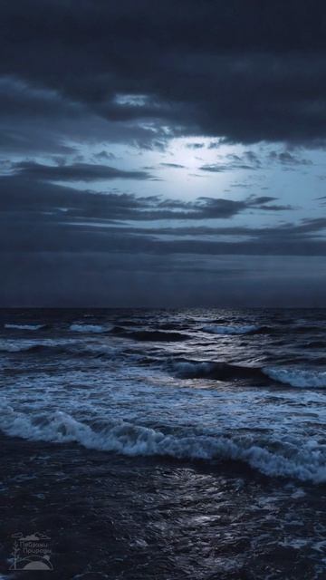 Наедине с морем