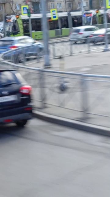 Трамваи чижик