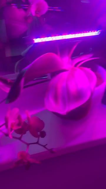 Дочкино хобби