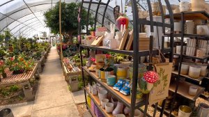 В поездках по делам. Сделка завершена, работы по участку продолжаются . Еще один садовый центр.