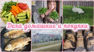 НАШИ БУДНИ: ПОКУПКИ, ДЕЛА И ЗАБОТЫ. ЖИЗНЬ В СЕЛЕ 🏡