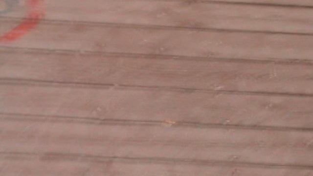 203)й РОЗА ХУТОР