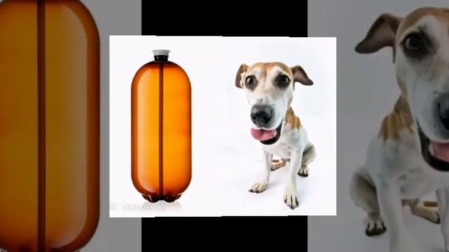 Это полный...