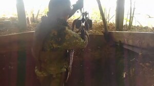 Брат, я вернулся домой!