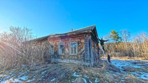 Зима чуть не уничтожила старый дом. Смотрим фронт работ. Продолжаем отделку и боремся с бездорожьем