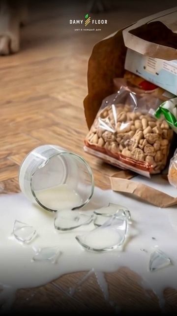 Бытовые неприятности не проблема для SPC DAMY FLOOR