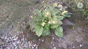 Южный парк в конце апреля.