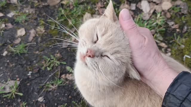 Благодарность за еду!