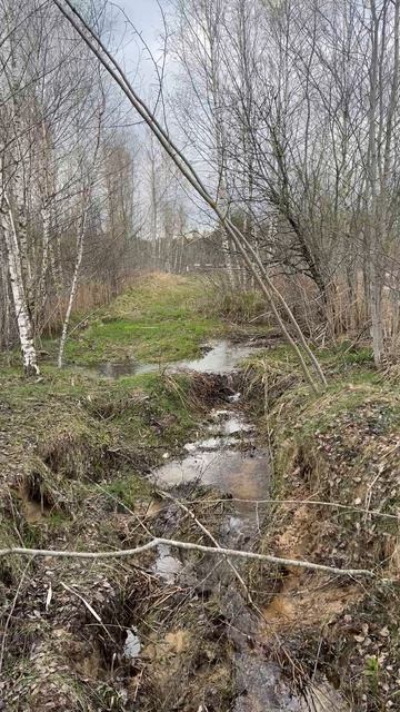 Между двух озёр #озеро #пруд #в_деревне #деревенский