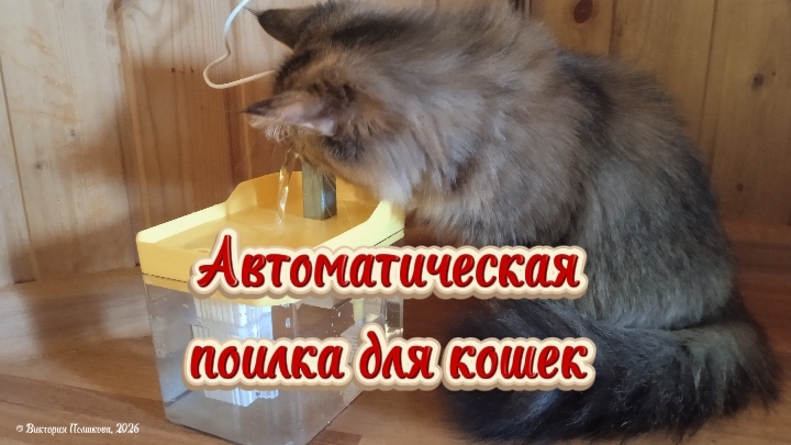 Автоматическая поилка для животных