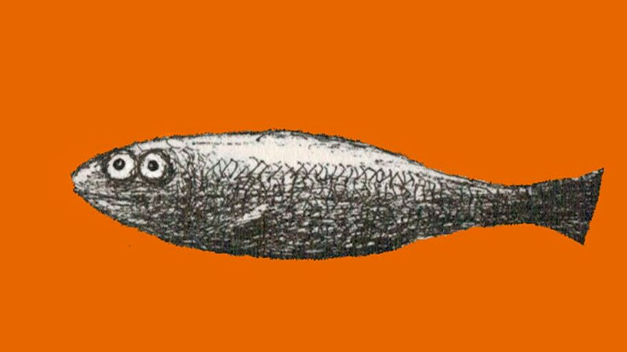 Видеокарточка проекта: Селедка Диогена