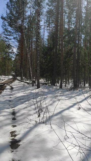 23 Апреля 2026