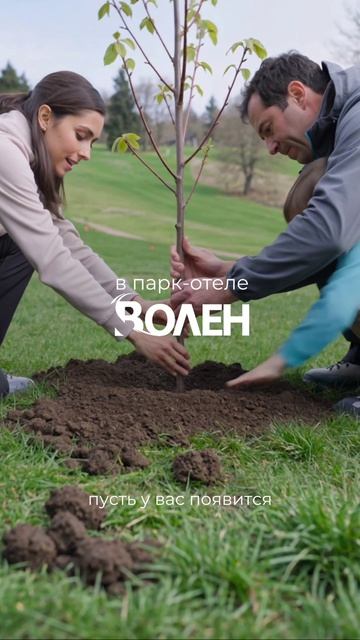 🌲 Посадите фамильное дерево в парк-отеле «Волен»