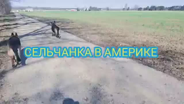 Сельчанка в Америке ШОПИНГ В АМЕРИКЕ МАГАЗИН ТАРГЕТ