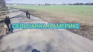 Сельчанка в Америке ШОПИНГ В АМЕРИКЕ МАГАЗИН ТАРГЕТ