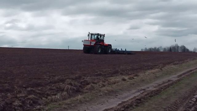 Трактор Ярославец Я-250 едет по полю с культиватор 8м КБМ-8НУ