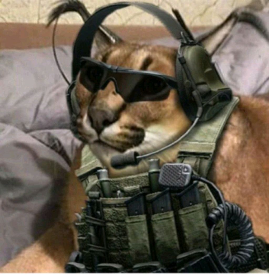 стандофф2 стрим