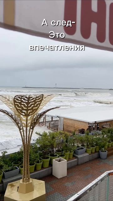  сочинский сочинскийшторм штормсочи сочи2026 сочизима