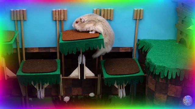 Хомяк-исследователь покоряет мир миньонов! часть 3