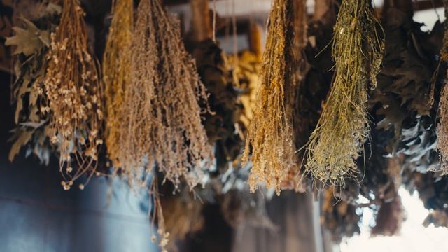 Лучший банный СПА - курорт 