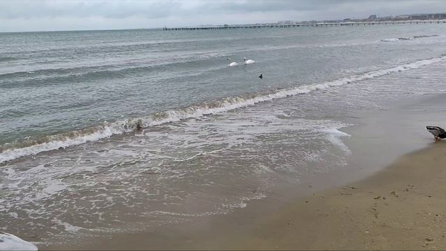 Пасмурно в Анапе . 21 апреля 2026г