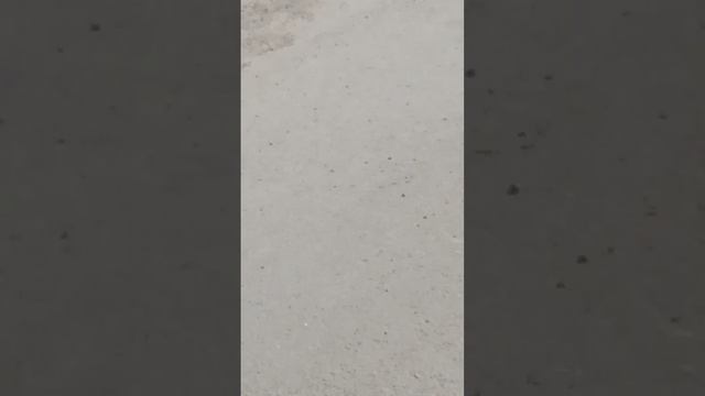 я еду на автобусе 🚌 в юность на концерт 🤘