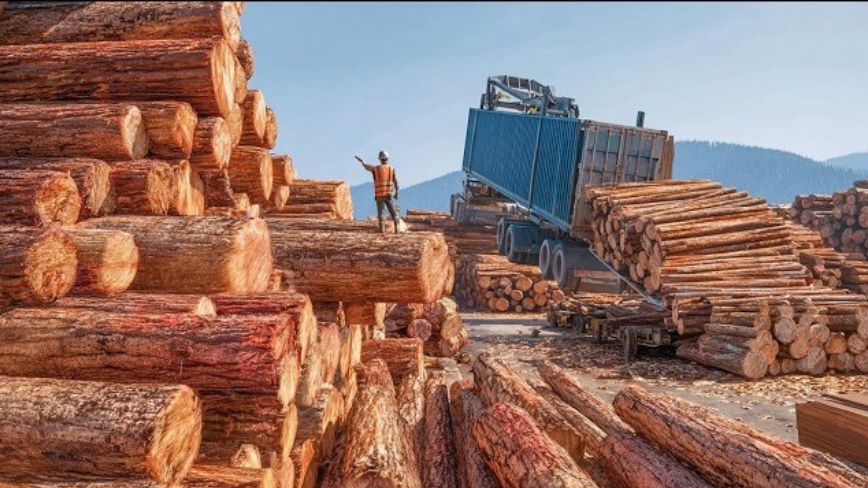 Внутри 100 летнего производства фанеры.