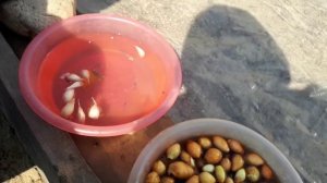 2381. ВПЛ,посадка лука севка( 14.04.20)