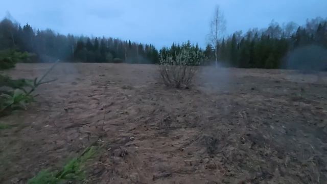 Удачный выстрел вальдшнеп охота весна выстрел дичь подстрелил добыл