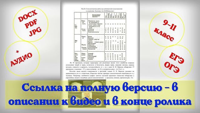 Изменчивость