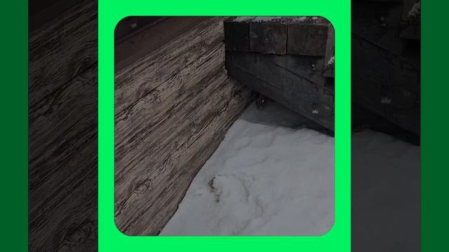 1000056985.mp4 (Собака наблюдает за устройством лестницы на 2-ой этаж в доме А-фрейм)