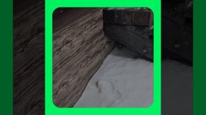 1000056985.mp4 (Собака наблюдает за устройством лестницы на 2-ой этаж в доме А-фрейм)