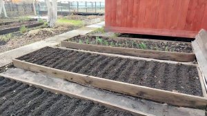 Видео привет 24 апреля. Пришлось идти пешком.