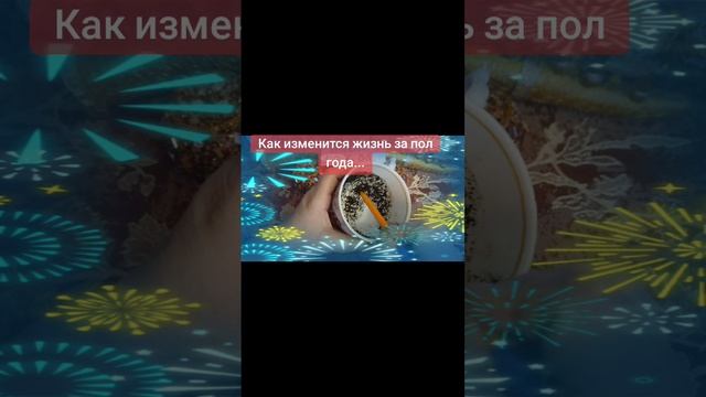 🌹😻💐💐💗💝🪷🌸