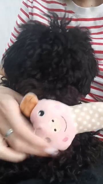 Собачка Айза играет. 😊🦴