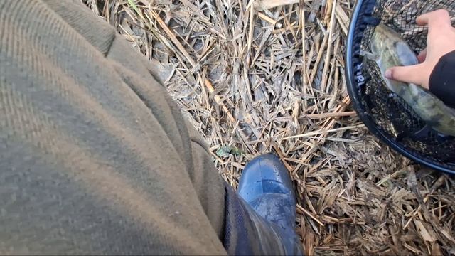 Рыбалка на Теплом канале.  Наловили огромных и жирных карасей, даже судака поймали.