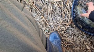 Рыбалка на Теплом канале.  Наловили огромных и жирных карасей, даже судака поймали.