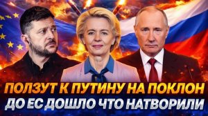 Ползут к путину на поклон До Европ наконец дошло что может Россия!Просроченный Зеленский в шоке