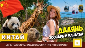 #6 ДАЛЯНЬ ЧЕМ РАЗОЧАРОВАЛ ЗООПАРК? И СТОИТ ЛИ ИДТИ – ЦЕНА, КАК ДОБРАТЬСЯ, ЧТО ПОСМОТРЕТЬ: ДУНГУАНЬ