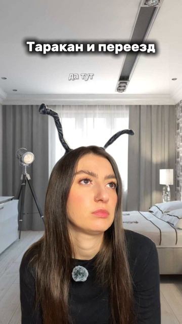 Таракан и переезд