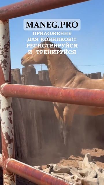 Регистрируйся и тренируйся в МАНЕЖ.ПРО